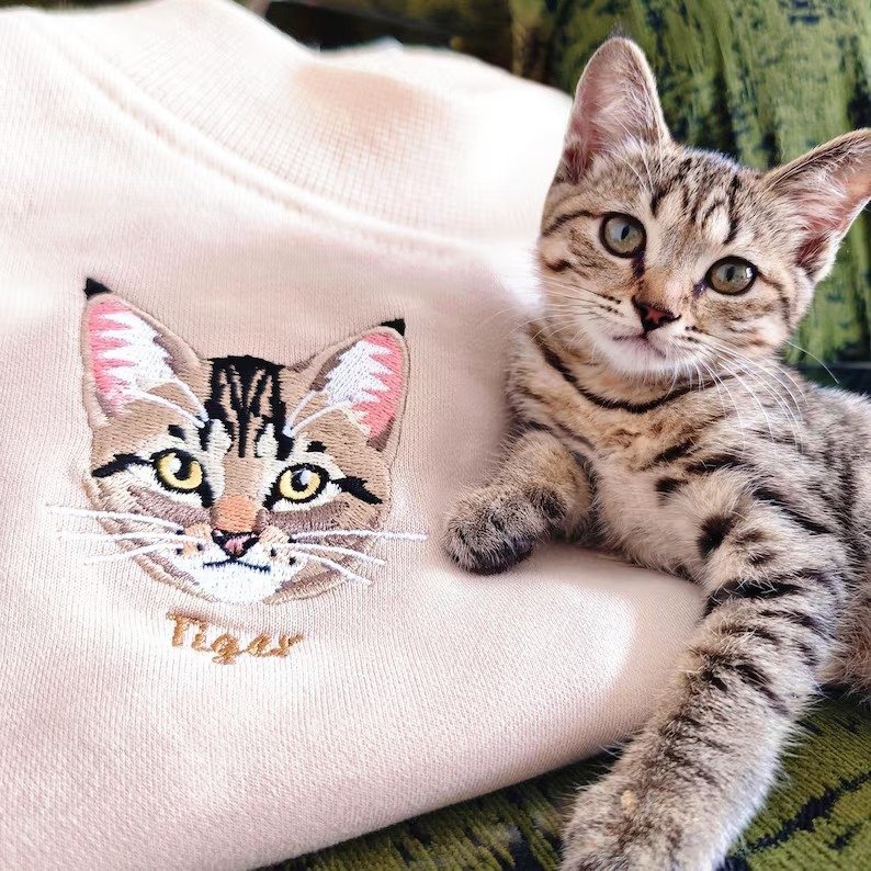 whatsapp image 2026 04 02 at 1.56.09 pm.jpeg